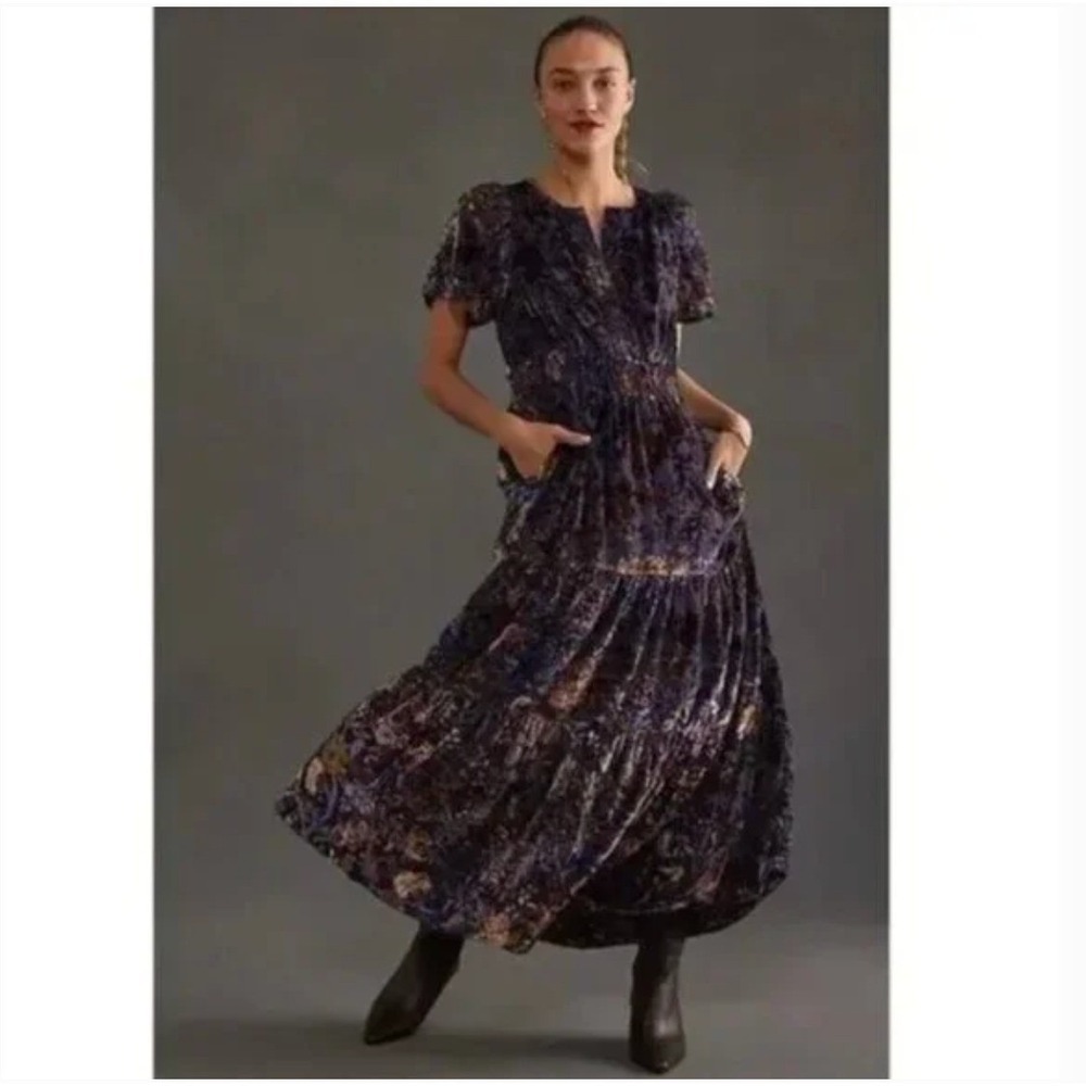 Anthropologie Somerset Floral Burnout Velvet Maxi Dress Plus 2X Boho Fairycore - Picture 3 of 12
